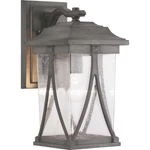 Progress Lighting P560114 Pewter Abbott Single 16"H Outdoor Wall Sconce. Fixed Price $219.99.