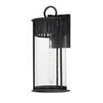 Black Patina One Light Outdoor Wall Sconce From The Windsor Collection. Fixed Price $232.00.