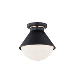 Justice Fusion Ravelle Cone 10" Out Semi-flush, Bk/b Ring/op FSN-7689W-OP-MBBR. Fixed Price $93.60.