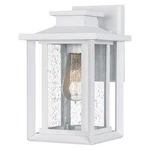 Wakefield 1-LIGHT Outdoor Wall Mount In Matte White. Fixed Price $197.99.