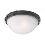 Westinghouse 12 5" Ceiling Light Fixture, Brown Patina & White Alabaster Glass. Fixed Price $25.99.