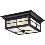 Westinghouse 6204800 Orwell Light 11"W Led Outdoor Flush Mount. Fixed Price $66.73.