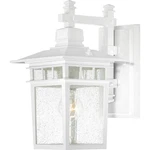Nuvo Lighting 60/4957 Cove Neck 14" Tall Outdoor Wall - White. Fixed Price $137.99.