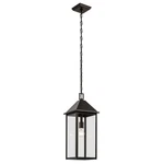 Prin 1 Light Outdoor Hanging PENDANT-22 Inch Tall And 9 Wide-olde Bronze. Fixed Price $269.97.