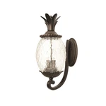 Acclaim 7501BC Lanai Collection 2-LIGHT Wall Mount Outdoor Fixture, Bla.... Fixed Price $196.25.