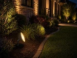 Pinnacle Wall Wash Landscape Light Low Voltage Taurus Br. Fixed Price $19.99.