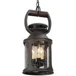 Troy Lighting F4517 Pendant Incandescent. Fixed Price $143.65.