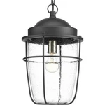 Progress Lighting P550025 Black Holcombe Single 10-1/2"W Outdoor Pendant. Fixed Price $249.99.