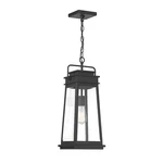Savoy House Boone 1-LIGHT Outdoor Hanging Lantern, Matte Black 5-816-BK. Fixed Price $436.00.