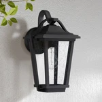 Quoizel Darius 14 3/4" High Earth Black Outdoor Wall Light. Fixed Price $249.99.