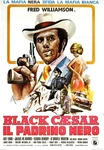 73282 Black Caesar Blaxploitation Fred Williamson Wall Decor Print Poster. Fixed Price $19.95.