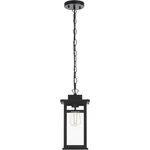 Elegant Lighting OD313H14BK Mercer 6.5 Inch Black Outdoor Pendant. Fixed Price $108.00.
