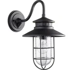 Quorum 7697-69 Moriarty 15.75" Outdoor Wall Sconce In Noir. Fixed Price $192.00.