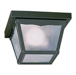 Quorum 7" Outdoor Cage, Gloss Black 3080-7-15. Fixed Price $15.00.