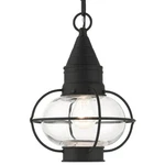 Livex Lighting 26910 Newburyport 9"W Outdoor Mini Pendant - Black. Fixed Price $345.96.