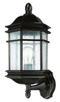 Dolan Designs 9236-68 Barlow Light 17 Winchester Exterior Wall Lantern. Fixed Price $137.00.