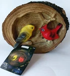 Moonrays Solar Garden Accent Red And Yellow Birds Wall Art-white LED-#92359. Fixed Price $15.25.