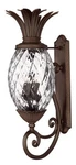 Hinkley 2225CB Plantation X Large Wall Outdoor. Fixed Price $2649.00.