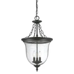 Acclaim Lighting 9316 Black 3-LIGHT Outdoor Pendant From The Belle Colllection. Fixed Price $232.00.