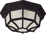 Maxim 1020 Black Crown Hill 10" 2-LIGHT Outdoor Ceiling. Fixed Price $59.50.