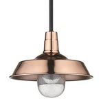 Acclaim Lighting 1736 Copper Burry Single 10"W Pendant. Fixed Price $104.00.