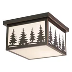 Vaxcel OF33412BBZ Yosemite 12IN Outdoor Light Bronze. Fixed Price $209.99.