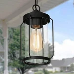 Uolfin Black Outdoor Spera Lantern Cage Garage Ceiling Lights With Clear Shade. Fixed Price $39.88.
