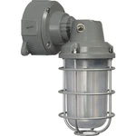 Nuvo 65/173 Led Adjustable Vapor-tight Outdoor Security Wall LIGHT20 WATTS,5000K. Fixed Price $67.49.