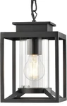 Osimir Outdoor Pendant 1-LIGHT Modern Hanging Lantern 2375-1H. Fixed Price $38.89.