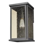 Acclaim Lighting Lyons 1LT 18" Outdoor Wall Mount, Black/seed Champagne - 1050BK. Fixed Price $160.00.