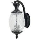 Used Acclaim Lighting 7502BK Lanai - Two Outdoor Wall Mount 7.25 Inches. Fixed Price $161.50.