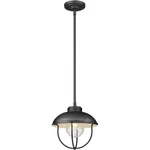 Z-lite 590P-BK Ansel Light 11 Inch Black Outdoor Pendant. Fixed Price $139.40.