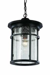 Trans Globe Lighting 40386 Bk Outdoor Avalon 16" Hanging Lantern, Black. Fixed Price $299.98.