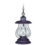 Vaxcel T0219 Dockside 8IN Outdoor Pendant Patina. Fixed Price $189.99.