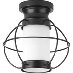 Progress Lighting P550016 Haddon 10"W Outdoor Semi-flush Black. Fixed Price $29.83.
