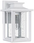 Quoizel Wakefield 11" High White Lustre Outdoor Wall Light. Fixed Price $158.99.