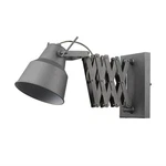 Acclaim Lighting TW40060 Plexus 10" Tall Plug-in Wall Sconce Grey. Fixed Price $284.29.
