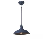 Home Decorators Collection Bell Ridge 1-LIGHT 14 In. Outdoor Blue Pendant. Fixed Price $39.98.