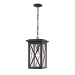 Z-lite Brookside 1 Light Outdoor Chain Mount Ceiling, Black/seedy 583CHB-BK. Fixed Price $254.99.