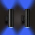 Rosykite Exterior Double Up Down Outdoor Wall Lights,mi.light Remote Control .... Fixed Price $227.81.