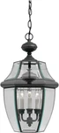 Forte Lighting 1605-03 Outdoor Pendant Bronze. Fixed Price $139.40.