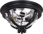 Maxim Lighting 41420WGBK Camden Vx 3-LIGHT 8.5" Outdoor Ceiling Mount Black. Fixed Price $248.00.