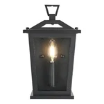 Elegant Lighting Richmond 7" Outdoor Pendant Black. Fixed Price $84.00.
