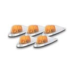 Pacer Performance Cab Roof Lights Exterior Die Cast Chrome Base/amber Lens. Fixed Price $132.98.