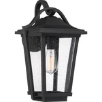 Darius 18.25 Inch Outdoor Wall Lantern Traditional Plastic Made With Coastal. Fixed Price $319.99.