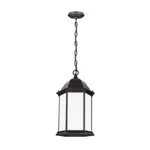 Sea Gull Lighting 6238751-71 Sevier Outdoor Pendant Traditional. Fixed Price $43.54.