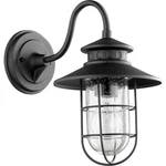 Quorum Moriarty 1-LIGHT Outdoor Wall Lantern Noir 18.75" Seedy Glass Wet Rated. Fixed Price $139.99.