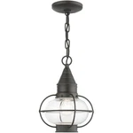 Livex Lighting 26910-61 Newburyport Outdoor Pendant Chandeller Charcoal. Fixed Price $349.96.