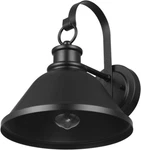 Electric 60000011 1-LIGHT Outdoor Wall Sconce, Matte Black, 10" Warehouse Shade,. Fixed Price $84.99.