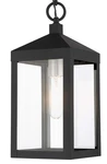 Livex Lighting 20591 Nyack 6"W Outdoor Mini Pendant - Black With Brushed. Fixed Price $295.96.